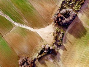 Vuelo de peritación de daños en agricultura con dron despues de la borrasca Filomena. Aerial Tecnica©2021