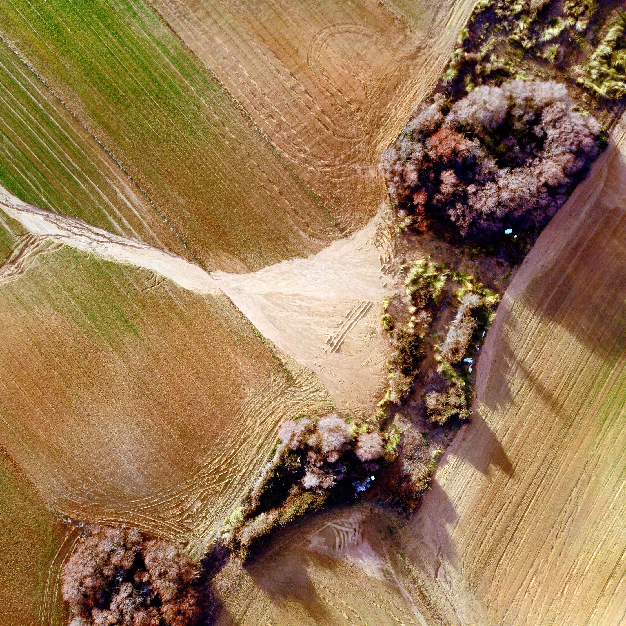 Vuelo de peritación de daños en agricultura con dron despues de la borrasca Filomena. Aerial Tecnica©2021