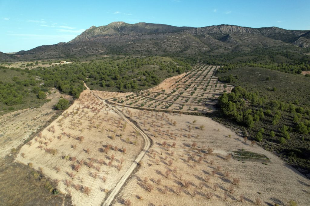 Jumilla, Murcia, Noviembre 2022. 700 Ha. 350 MWp. Site assessment survey
